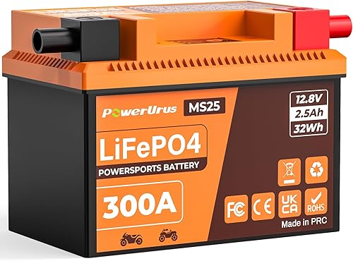 LiFePO4 Batteries